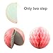 Cocodeko Hanging Set, Tissue Paper Poms Flower Fan and Honeycomb Balls for Birthday Baby Shower Wedding Festival Decorations-Pink, 3 Gram