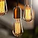 Edison Light Bulbs by Scandic Gear - 4 Pack - 60 Watts - Vintage Light Bulbs Add Antique Touch to Décor - Retro Light Bulbs for Vintage Lamps and Fixtures - Clear Glass Edison Light Bulb