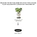 MYXC Plant Saucers 6 Inch Drip Trays Green Plastic Tray Saucers for Indoor & Outdoor Flower Pot Round (6 Pack)thumb 2