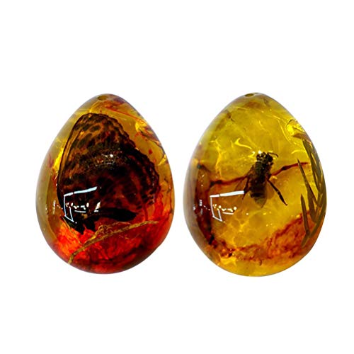 1 LIOOBO+Insects+Samples+Specimens+Collection