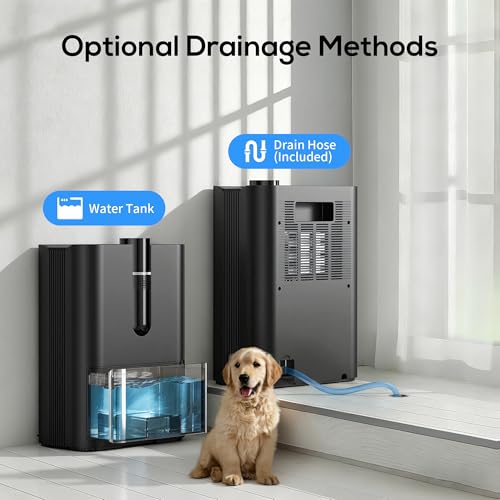 Home Dehumidifier, 2500 ml Dehumidifier for Home Mould, Silent Electric Dehumidifier with Drain Pipe, Auto Shutdown, Sleep Mode, Dehumidifiers for Bathroom, Bedroom, Wardrobe