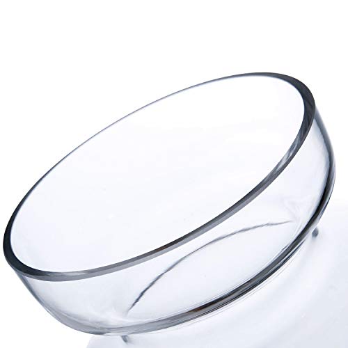 Diamond Star Glass Apothecary Jar Candy Buffet Clear Containers Footed