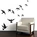 PIVBY Window Alert Bird Stickers - Protection Against Bird collisions, Black (Pack of 12 Decals)