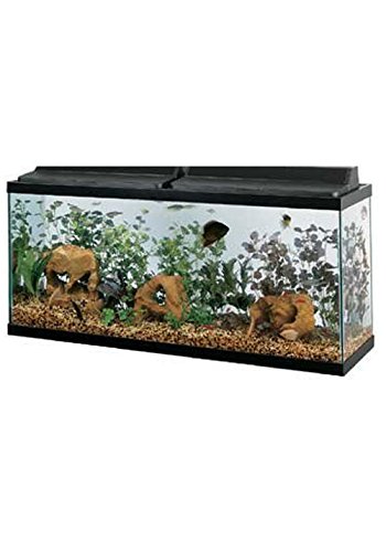 All Glass 55-Gallon Aquarium - Image 2