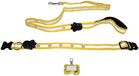 ANERSUS LED Dog Leash &amp; Collar &amp; Tags Set 3 in 1 Kit, Adjustable Necklace Loop Makes Your Small Medium Large Dogs Cats Visible, Safe &amp; Seen at Night, Yellow