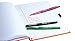 Paper Mate Felt Tip Pen Writing Pen (1733121)