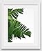 Banana Leaf Print, Tropical Palm Leaf, 8 x 10 Inches, Unframed