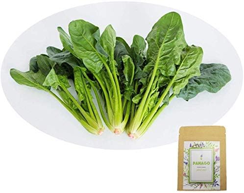 1000+Spinach Seeds for Garden Planting, Non-GMO Organic Heirloom Green Vegetable Seeds