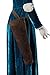 DAZCOS US Size Adult Princess Cosplay Costume Renaissance Medieval Dress with Quiver (Large)