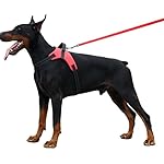 Hiado Dog Harness with Handle, Anti Pull, Adjustable Size, Escape Proof and Heavy Duty Features for Dogs Walking, Jogging, Hiking, Running, include Leash Set, Red ,Xl