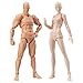 Drawing Figures for Artists Action Figure Model Human Mannequin Man and Woman Set,with Accessories Kit for Sketching, Painting, Drawing, Artist (2 Pcs/Set Action Figure Model with Accessories Kit)
