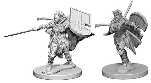 Pathfinder: Deep Cuts Unpainted Miniatures: Human Female Paladin