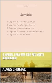 Livro O manual para uma vida pòs morte douradouro