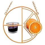 Heath Outdoor Products CF-133 Clementine Oriole Feeder (Limited Edition)
