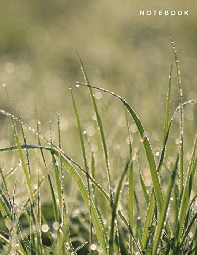 Notebook: Ruled Notebook Journal - Grass with Dew Drops Cover - 122 Pages - Large (8.5 x 11 inches)