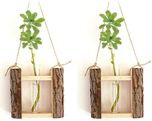 Propagation Station Hanging Test Tube Planter Glass Terrarium with Wooden Stand (2)