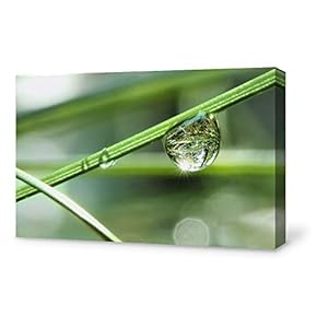 SIGNFORD Canvas Wall Art for Living Room,Bedroom Home...