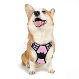 rabbitgoo Adjustable Dog Harness No-Pull Pet Harness Outdoor Pet Vest Harness with Reflective Straps for Dogs Easy Control (Pink, M)