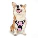 rabbitgoo Adjustable Dog Harness No-Pull Pet Harness Outdoor Pet Vest Harness with Reflective Straps for Dogs Easy Control (Pink, M)