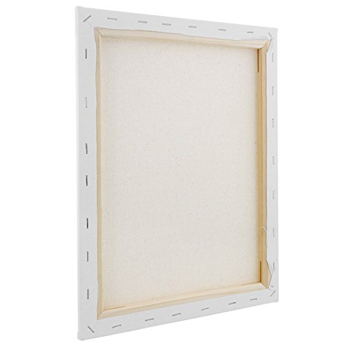US Art Supply 16 x 20 inch Super Value Quality Acid Free Stretched Canvas 5-Pack - 3/4 Profile Primed Gesso (1-Super Value Pack of 5 Canvases)