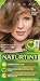 Naturtint 7N Hazelnut Blonde Permanent Hair Color (Pack of 6), Ammonia Free, Vegan, Cruelty Free, up to 100% Gray Coverage, Long Lasting Results (Packaging may vary)