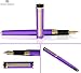 Dryden Designs Decadent Purple Fountain Pen