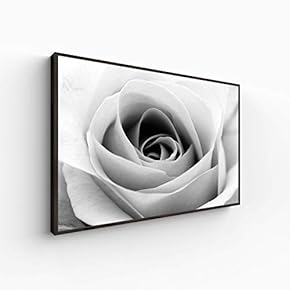 Canvas Wall Art for Living Room, Bedroom Monochrome Plants Framed Canvas Prints for Home Decoration Ready to Hang - 16x24 inches
