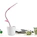 IEGROW Study Desk Lamp for Girls, Flexible USB Touch LED Lamp with 3 Level Dimmer and Plant Pencil Holder （Pink）