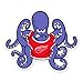 Detroit Red Wings NHL car bumper sticker decal (5