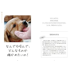 Inugo kaiwacho : Inu no kotoba o shinpuru ni rikai suru tame no foto bukku.