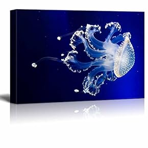 Jellyfish in Blue Water Wall Decor