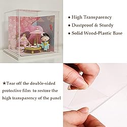 Nynelly Acrylic Display Case, Clear Display Case