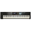 Roland Lightweight, 88-note Weighted-action Keyboard with Pro Sounds (JUNO-DS88)