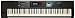 Roland Lightweight, 88-note Weighted-action Keyboard with Pro Sounds (JUNO-DS88)