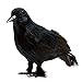 Prextex Crows Halloween Decoration - Black Bird Fall Decor, Witch Decor, Artificial Birds Gothic Home Decor, Fake Crow Halloween Kitchen Decor, Vintage Halloween Decorations Outdoor and Indoor (2pcs)