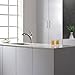 Kraus KPF-2250 Single Lever Pull-Out Kitchen Faucet, Stainless Steel