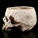 Resin Halloween Skull Head Flower Pot Planter Scene Decoration Candy Bowl