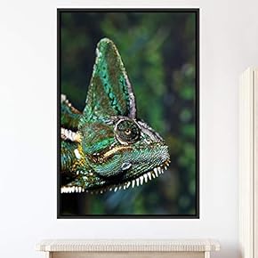 signwin Framed Canvas Wall Art Reptile Contemporary Dramatic...