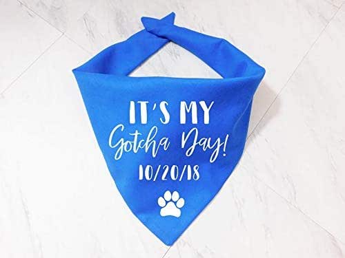 gotcha day dog bandana