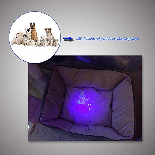 Blacklight Flashlight, 100 LED Ultra Violet UV Flashlight Handheld Blacklight Stain Detector with UV Safety Goggles to Spot Scorpions, Bed Bugs, Bodily Urine, Car Freon Leaks (Sliver) (Sliver) - Thumbnail 2