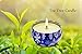 Citronella Candle Outdoor and Indoor, Large Portable Travel Tin Pure Soy Wax 3 Multiple-Wick Scented Candle