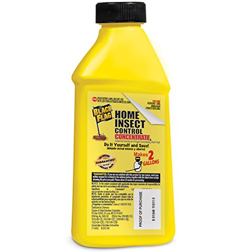 Black Flag Home Concentrate Insect Control, 16Ounce Pricepulse