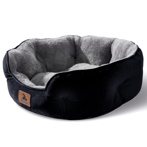 Asvin Medium Dog Bed