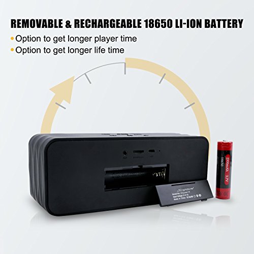 Simpowel V8 9W(4.5W X 2) Portable Speaker with FMradio, Micro SD MP3