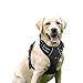 Rabbitgoo  Dog Harness No-Pull Pet Harness Adjustable Outdoor Pet Vest 3M Reflective Oxford Material Vest for Dogs Easy Control for Small Medium Large Dogs (Black, L) primary