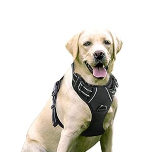 rabbitgoo Arnes Perro Grande Mediano Pequeño Arnés Pecho Antitirones Perros Coche con Lineas Reflecantes Cómodo Transpirable Chaleco Acolchado Ajustable para Adiesreamiento Correr Negro Tamaño Grande