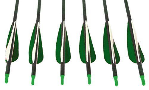 Sage Premium Recurve Carbon Arrows 31.5" - 50-60lb - 12 Pack- Green