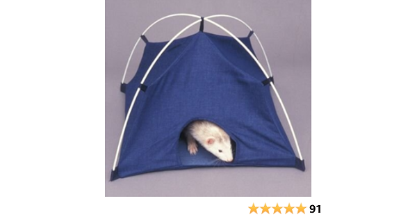 ferret tent