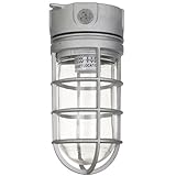 Sunlite VT100 5.5-Inch 100 Watt Vapor Proof Vandal Proof Outdoor Fixture, Metallic Finish Clear Glass (Tools &amp; Home Improvement)