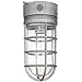 Sunlite VT100 5.5-Inch 100 Watt Vapor Proof Vandal Proof Outdoor Fixture, Metallic Finish Clear Glass